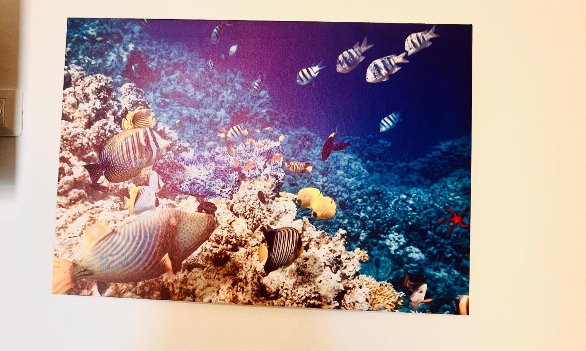 Casa Vacanza Cuto Bagheria Esterno foto